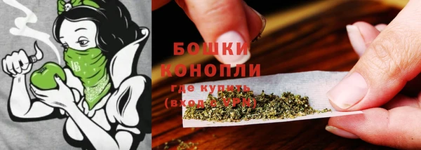 бошки Елабуга