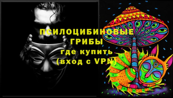 прущий лед Елизово