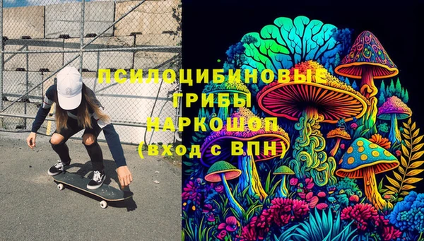 бошки Елабуга